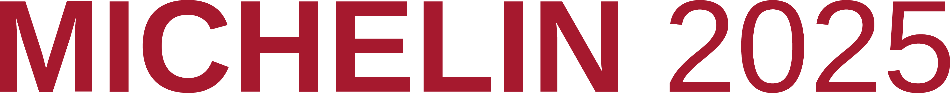 Immagine logo Michelin 2025